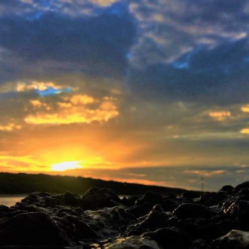 Photo #8328842