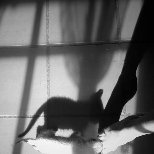 Photo #8328877