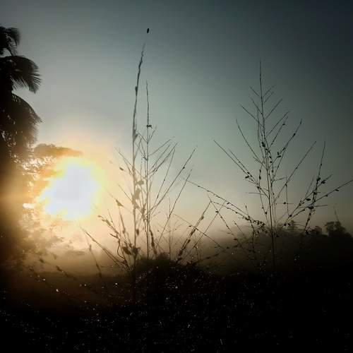 Photo #8328925
