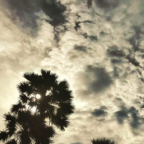 Photo #8328987
