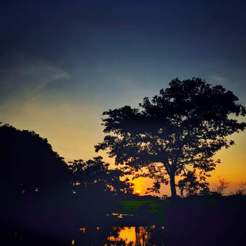Photo #8329717