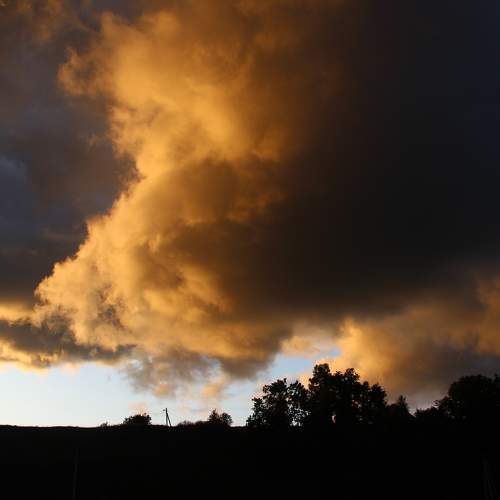 Photo #8329908