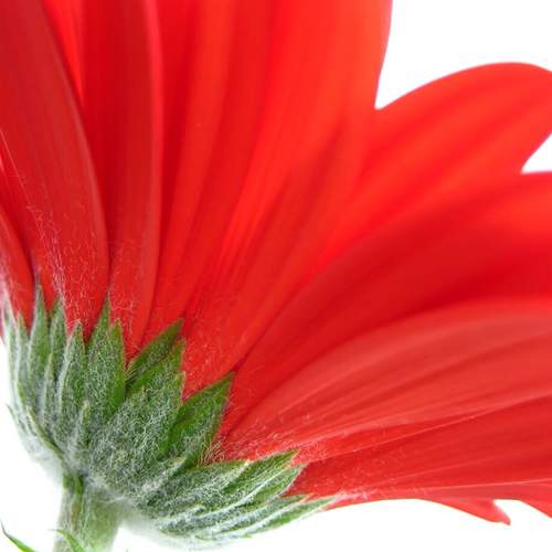 Photo #8329938