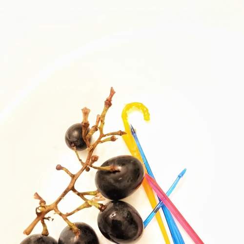 Photo #8329949