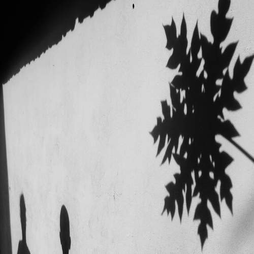 Photo #8330348