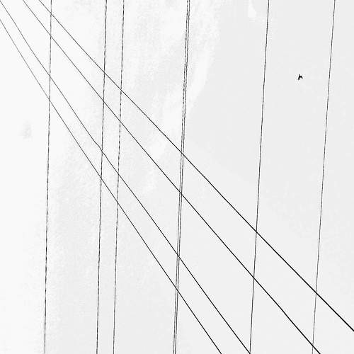 Photo #8330353