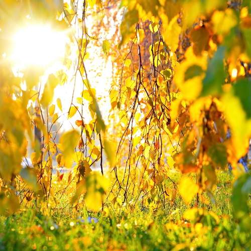 Photo #8330594