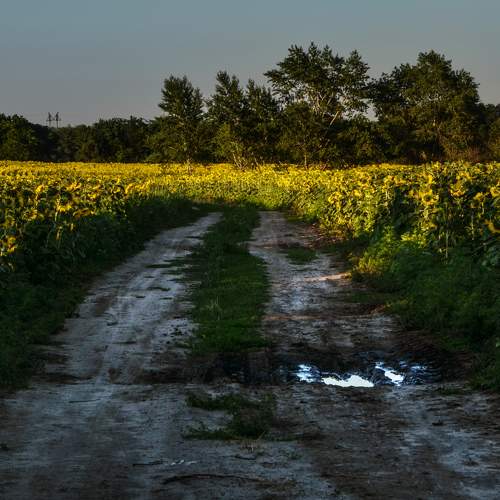 Photo #8330707