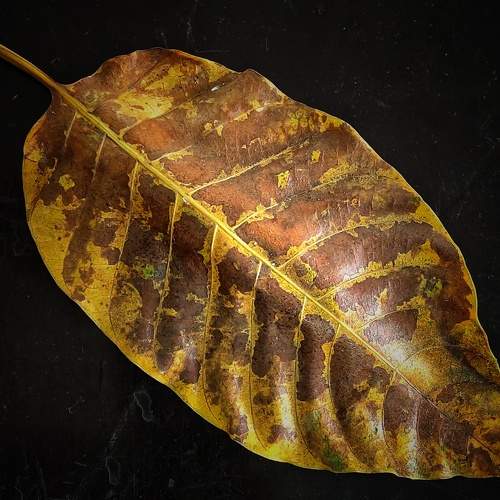 Photo #8330823