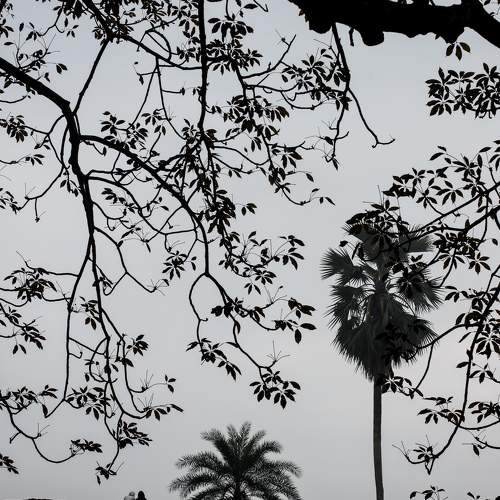 Photo #8331022