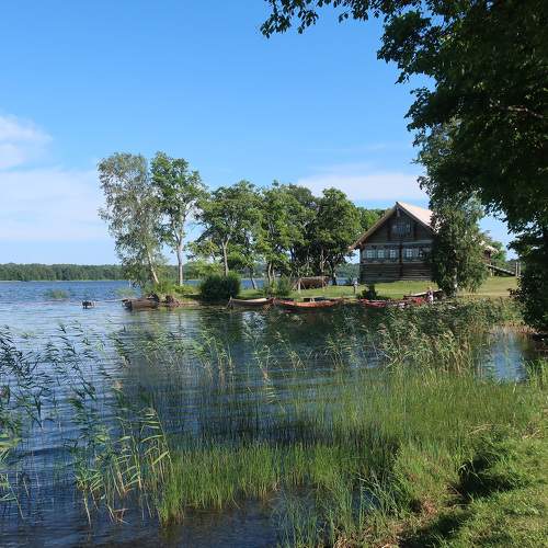 Photo #8331152