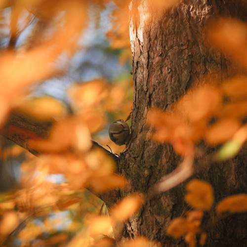 Photo #8331993