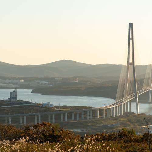 Photo #8332042