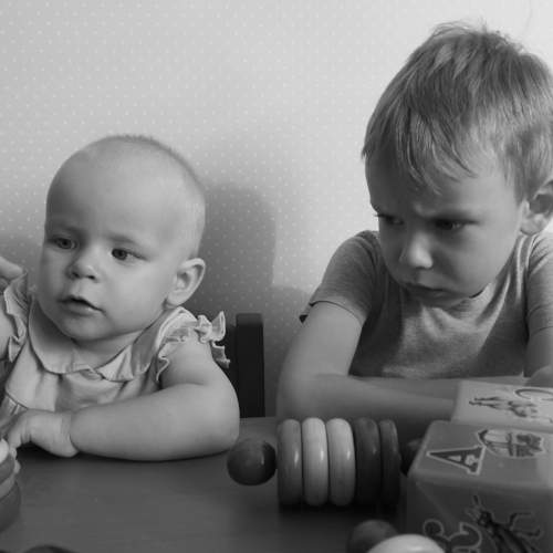Photo #8332060