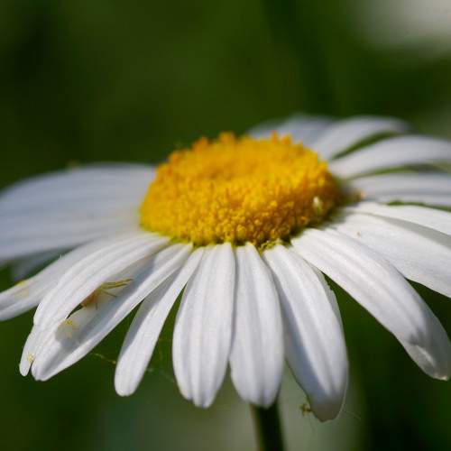 Photo #8332381