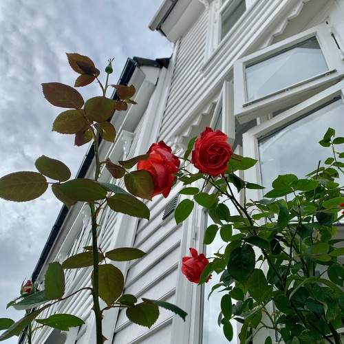 Photo #8332991