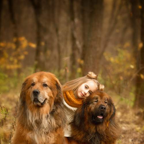 Photo #8333887
