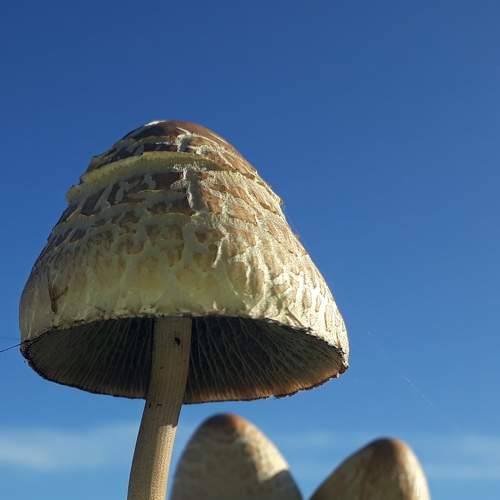Photo #8333914