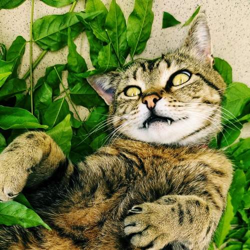 Photo #8333918