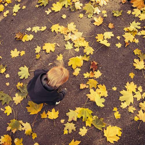 Photo #8334086