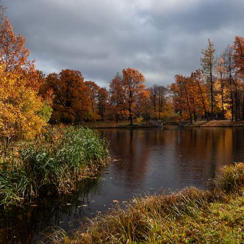 Photo #8334303