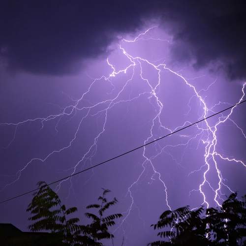 Photo #8334830