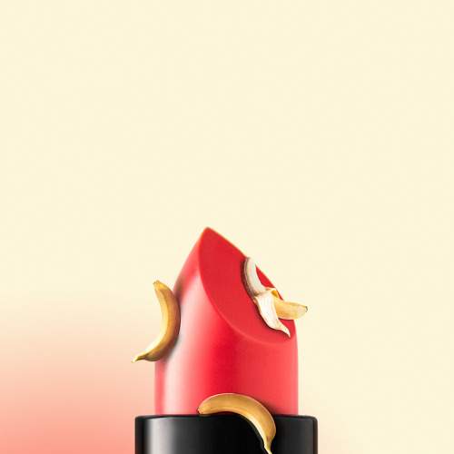Photo #8334840