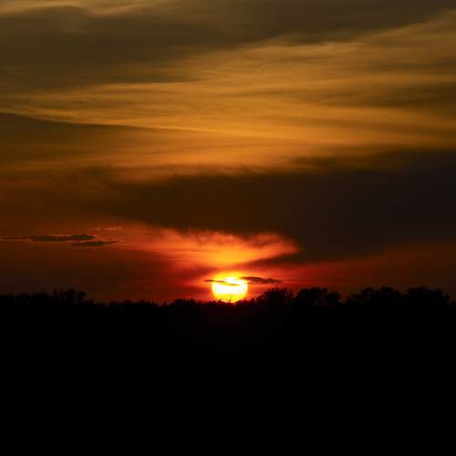 Photo #8334846