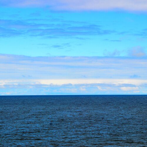 Photo #8334912