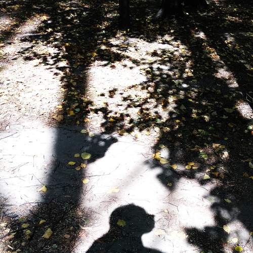 Photo #8335168