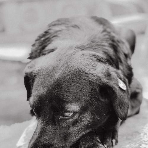 Photo #8335206