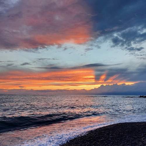 Photo #8335583