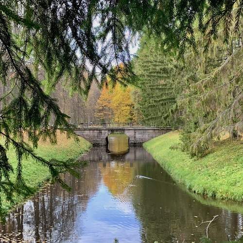 Photo #8336133