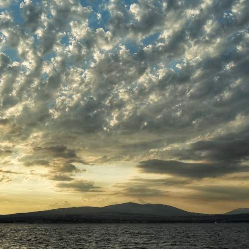 Photo #8336146