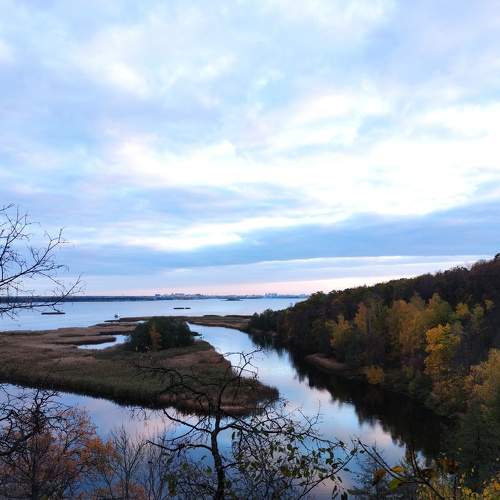 Photo #8336201