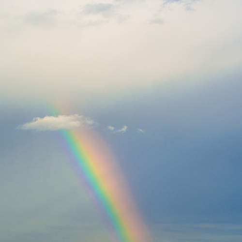 Photo #8336699