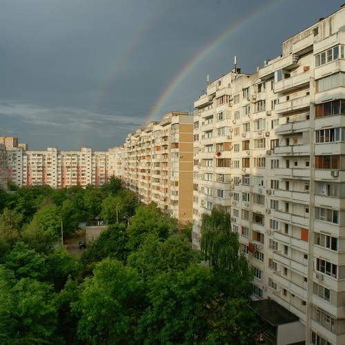 Photo #8336891