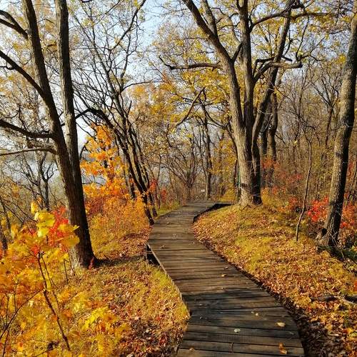 Photo #8337340
