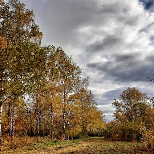Photo #8337414