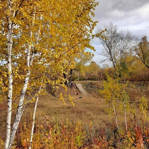 Photo #8337417