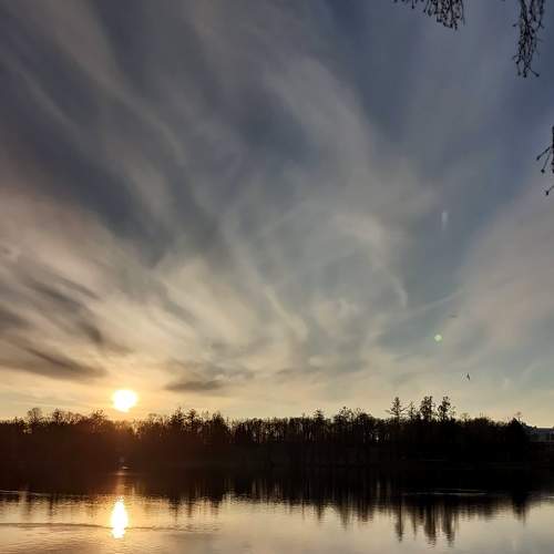 Photo #8337494