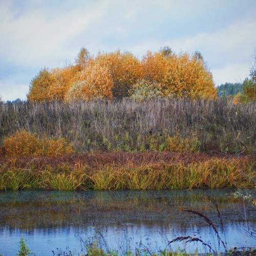 Photo #8337531
