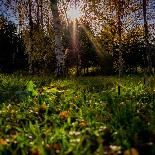 Photo #8337537