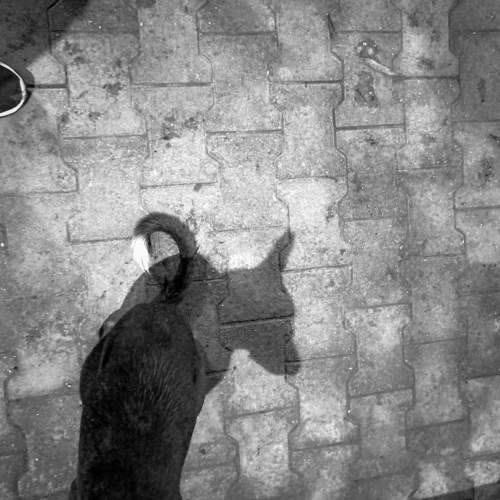Photo #8337807
