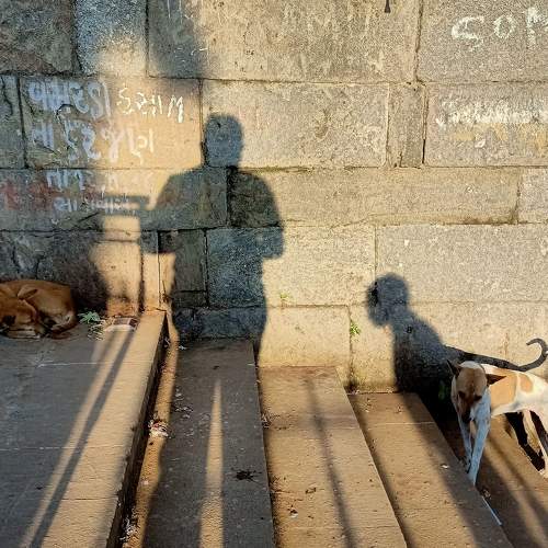 Photo #8337808