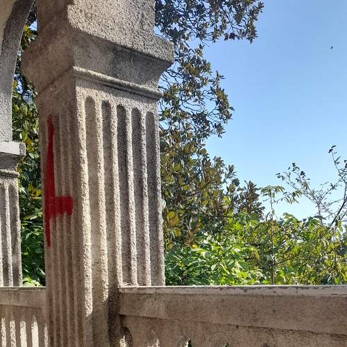 Photo #8338081