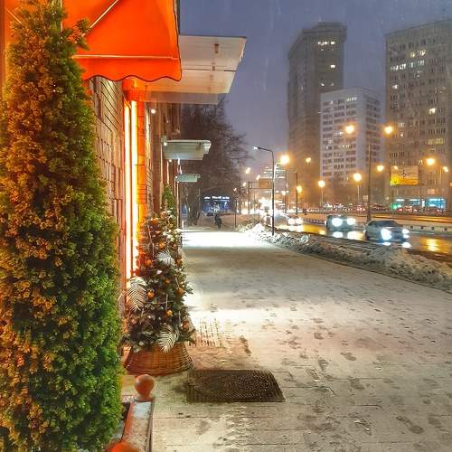 Photo #8338110
