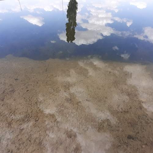 Photo #8338672