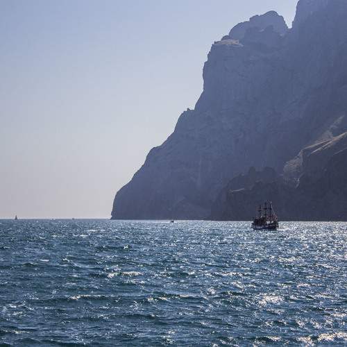 Photo #8338775