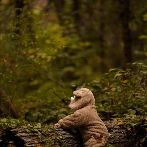 Photo #8338941